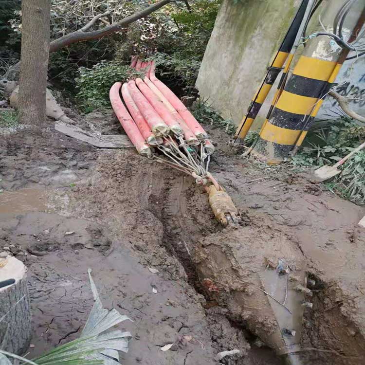 黔南武汉焊接涂装线拖拉管